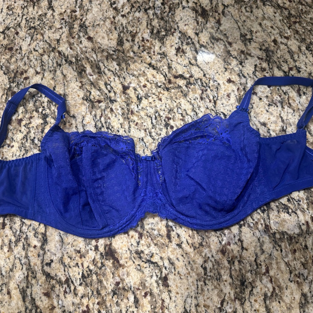 Panache Envy (7285) in Indigo Blue Lace Bra Like New
